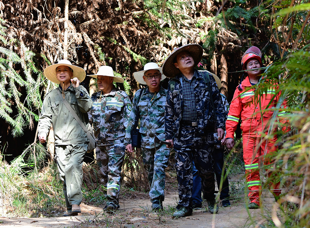 3��11�����S��ˮ���Ҷ�����ͬ�y���b��һ��Ѳɽ�����A��ӛ�� κ��ȫ �z