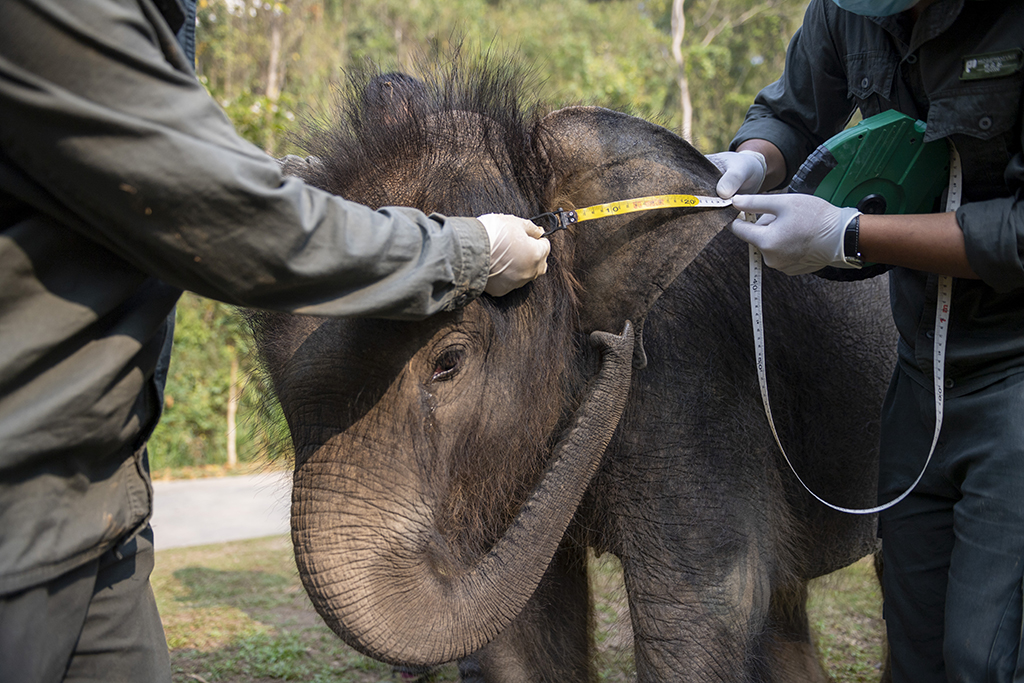 315ˆTСMwzryСAӛ  z