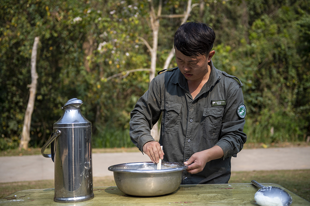 315SƷڽo_̷Aӛ  z