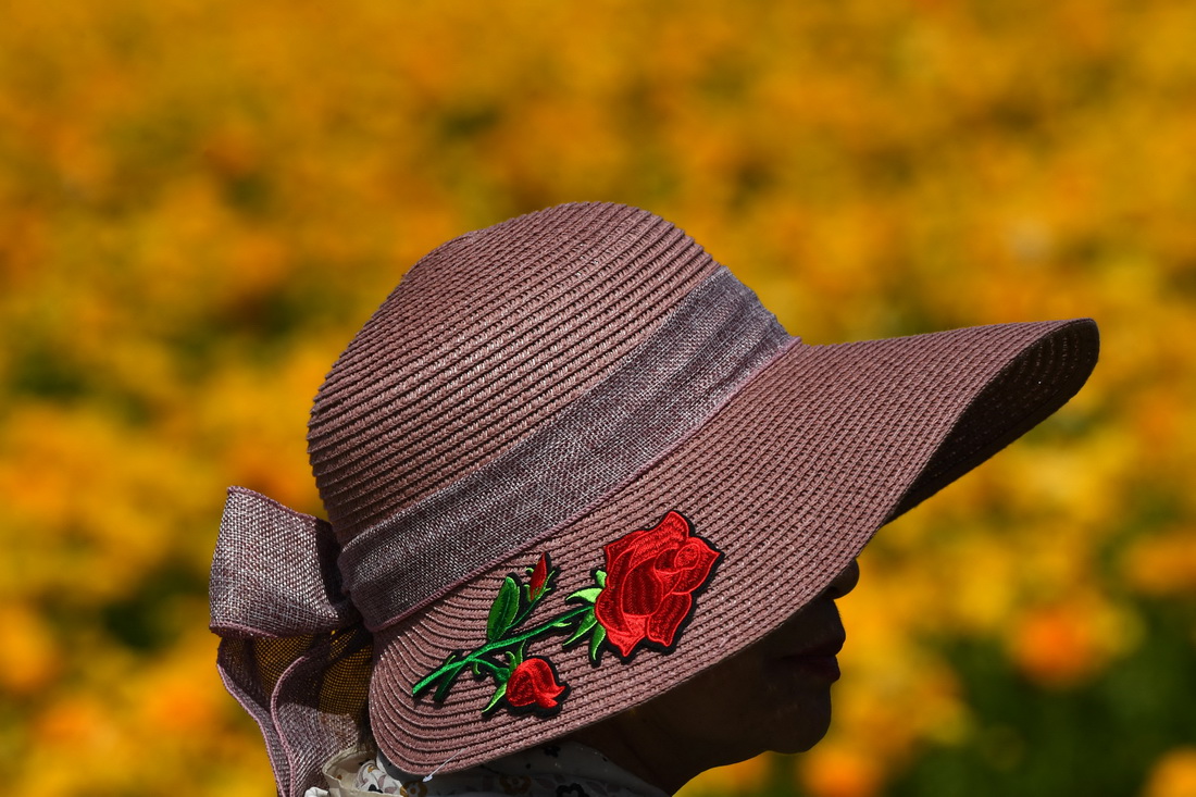 316၆ݿ˹͵µĻëݢ^