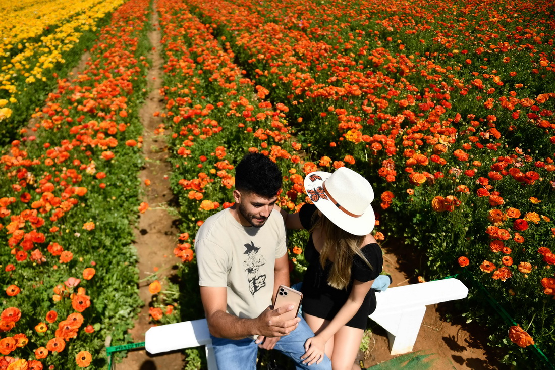 316၆ݿ˹͵µĻëݢ^