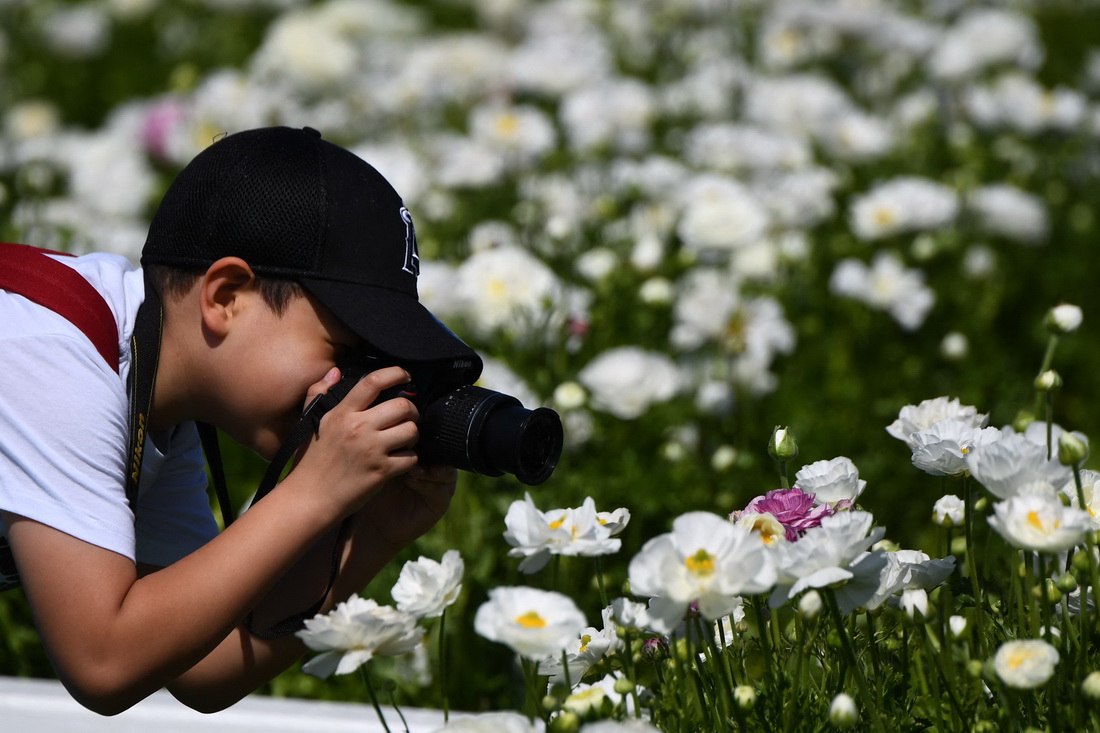 316၆ݿ˹͵µĻëݢ