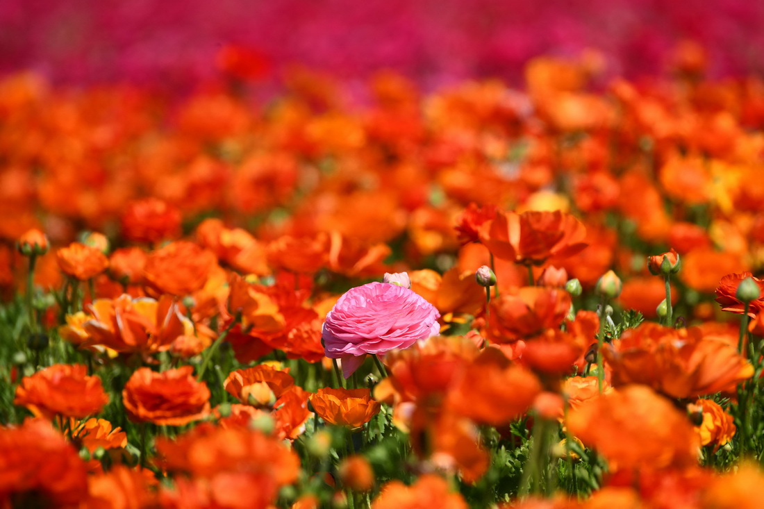 @316၆ݿ˹͵Ĕzʢ_Ļëݢ