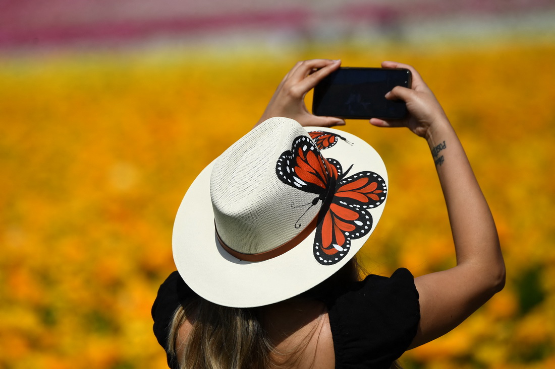 316၆ݿ˹͵µĻëݢ