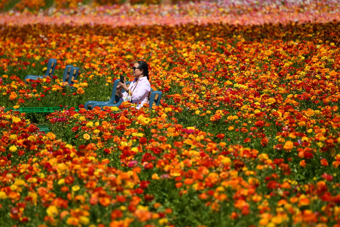 316၆ݿ˹͵µĻëݢ^