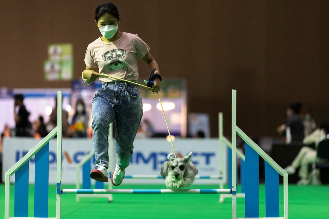 324һֻѩ{Ȯ̩ȇHﲩ[υӡ`ِA/·͸