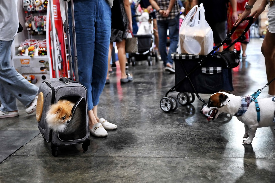 @324̩ȇHﲩ[ĔzČȮA/