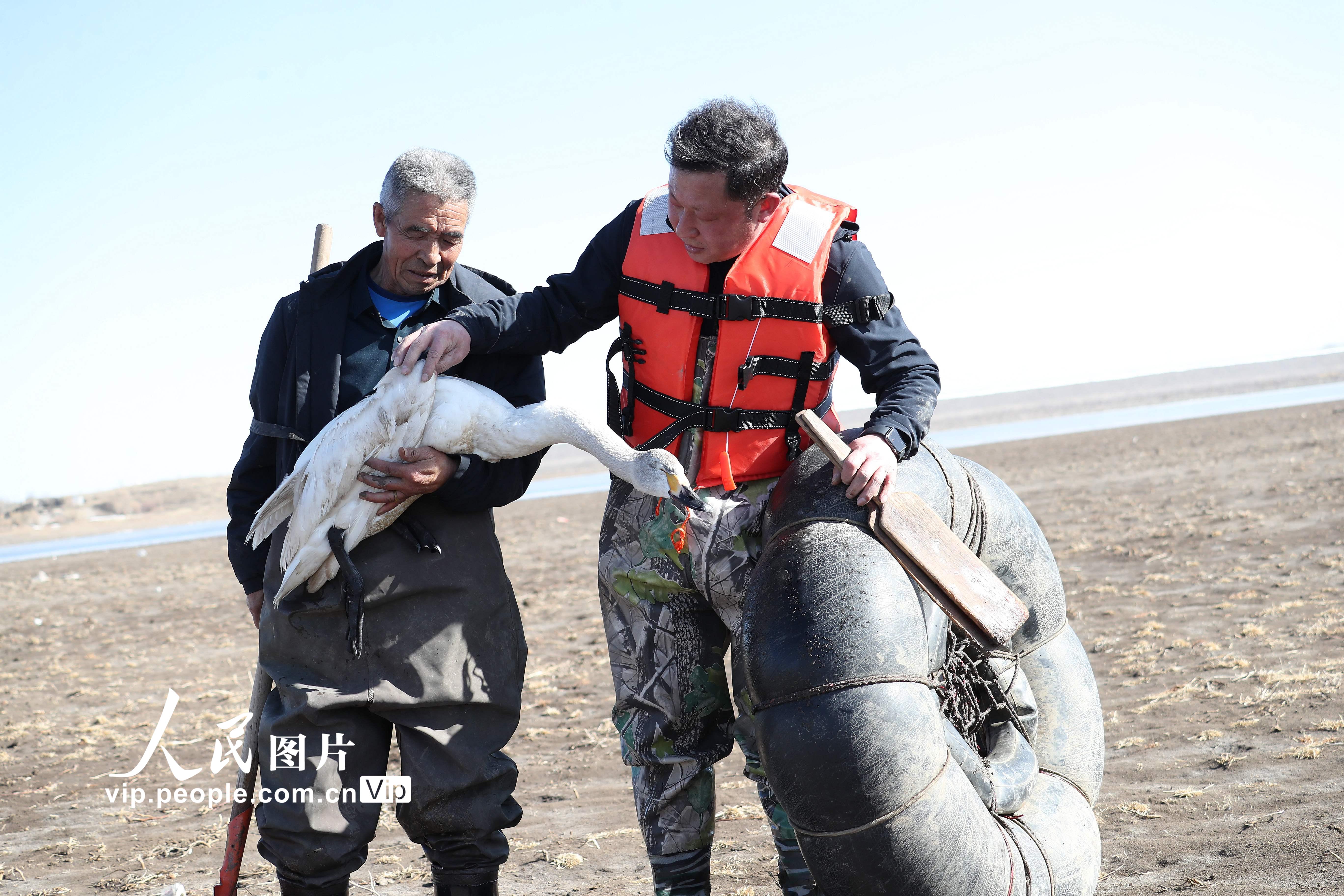 ���ɹŞ��m�첼����һ�������ֻ�����Z��7��