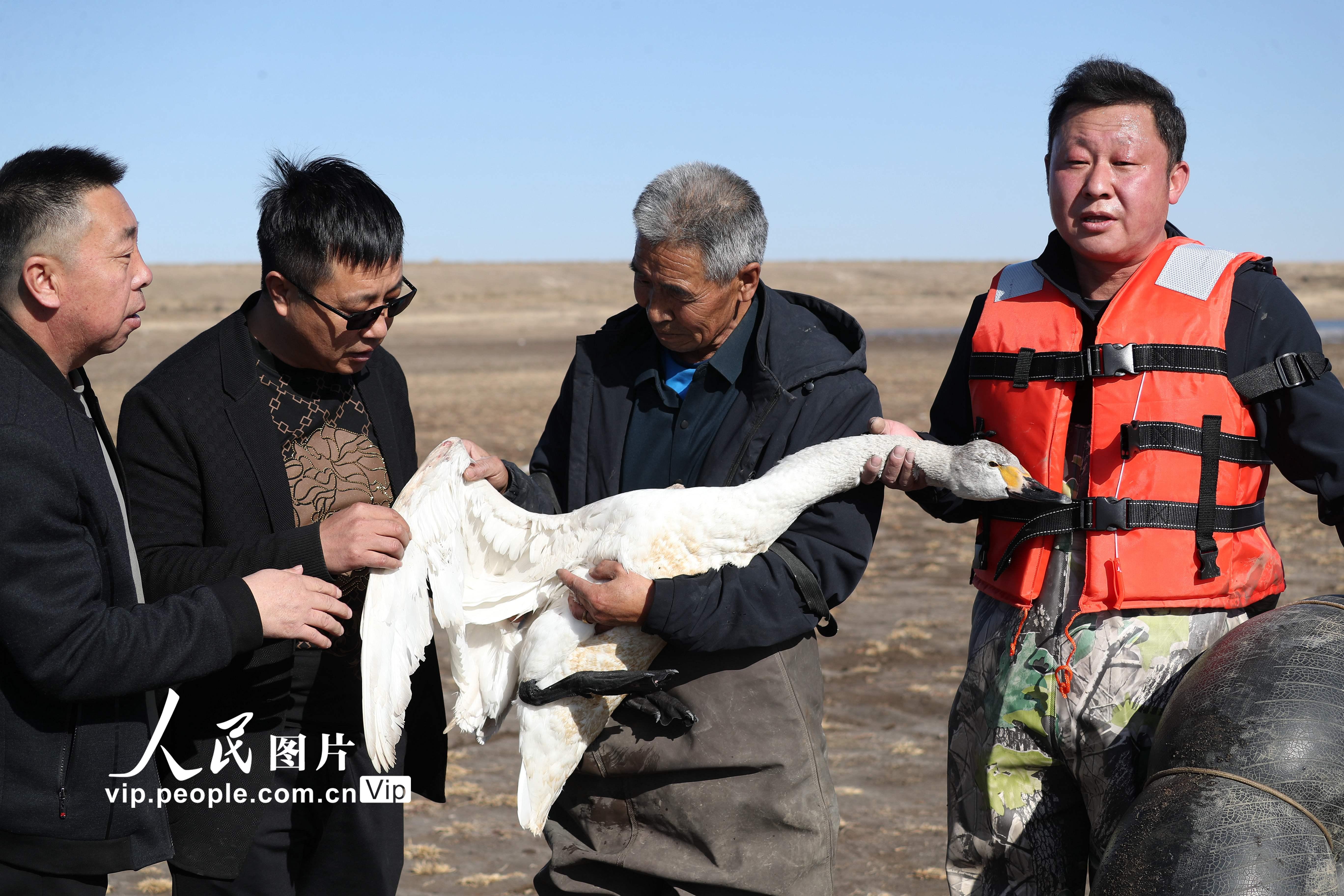 ���ɹŞ��m�첼����һ�������ֻ�����Z��8��