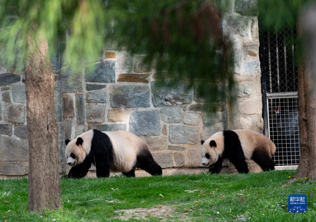 416AʢDʷɭW҄@؈̡СEң͋㡱һAӛ  z