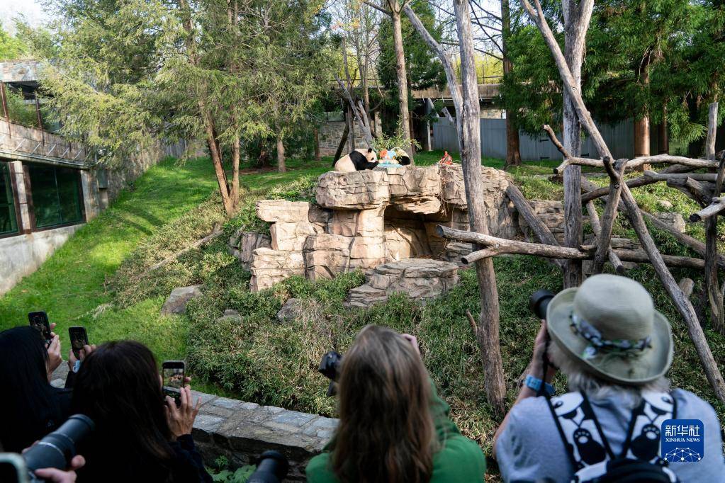 416AʢDʷɭW҄@^Ĕz؈̡СE͋㡱Aӛ  z