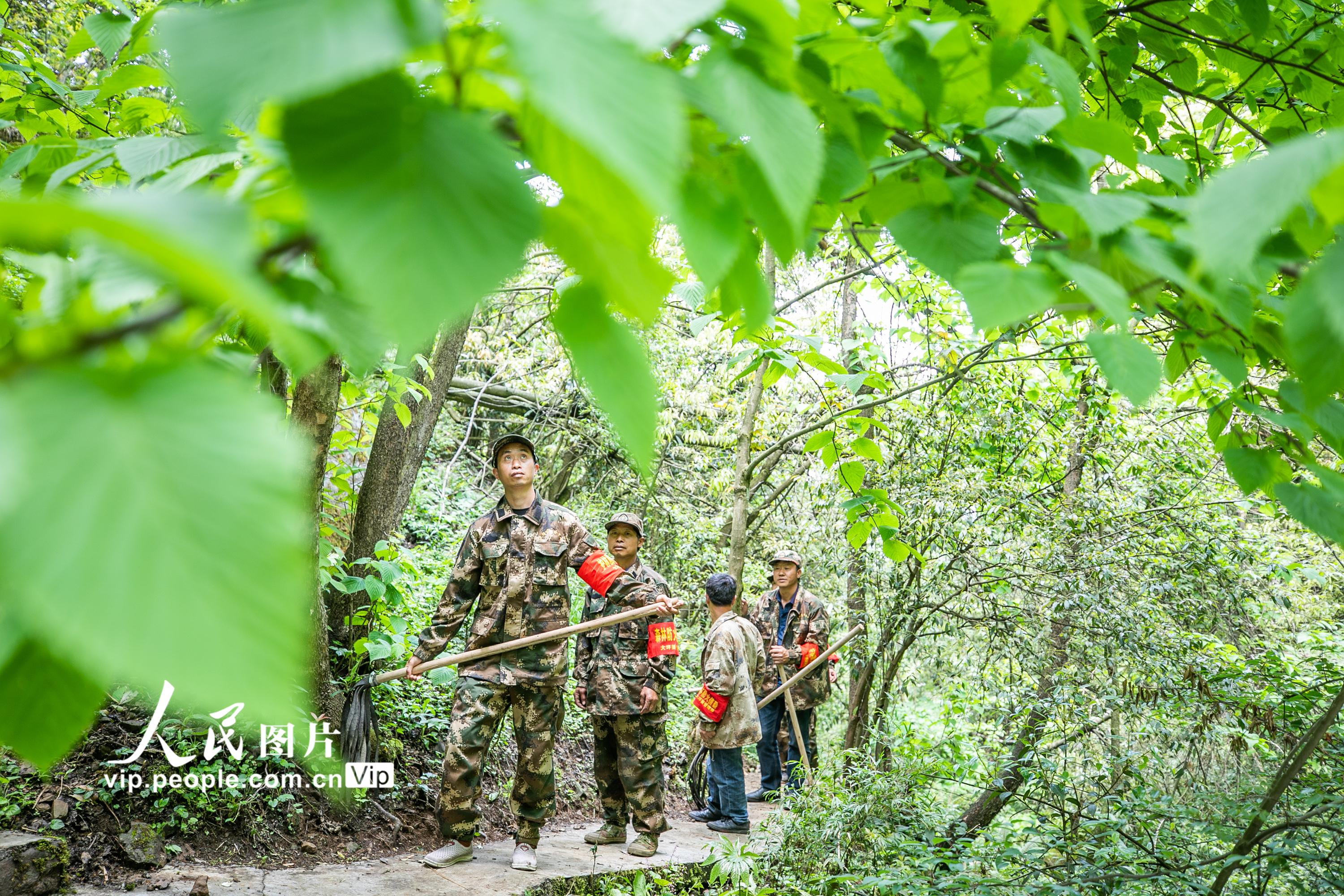 ��ʮ���d������ɽ�ġ��o��ʹ�ߡ���3��