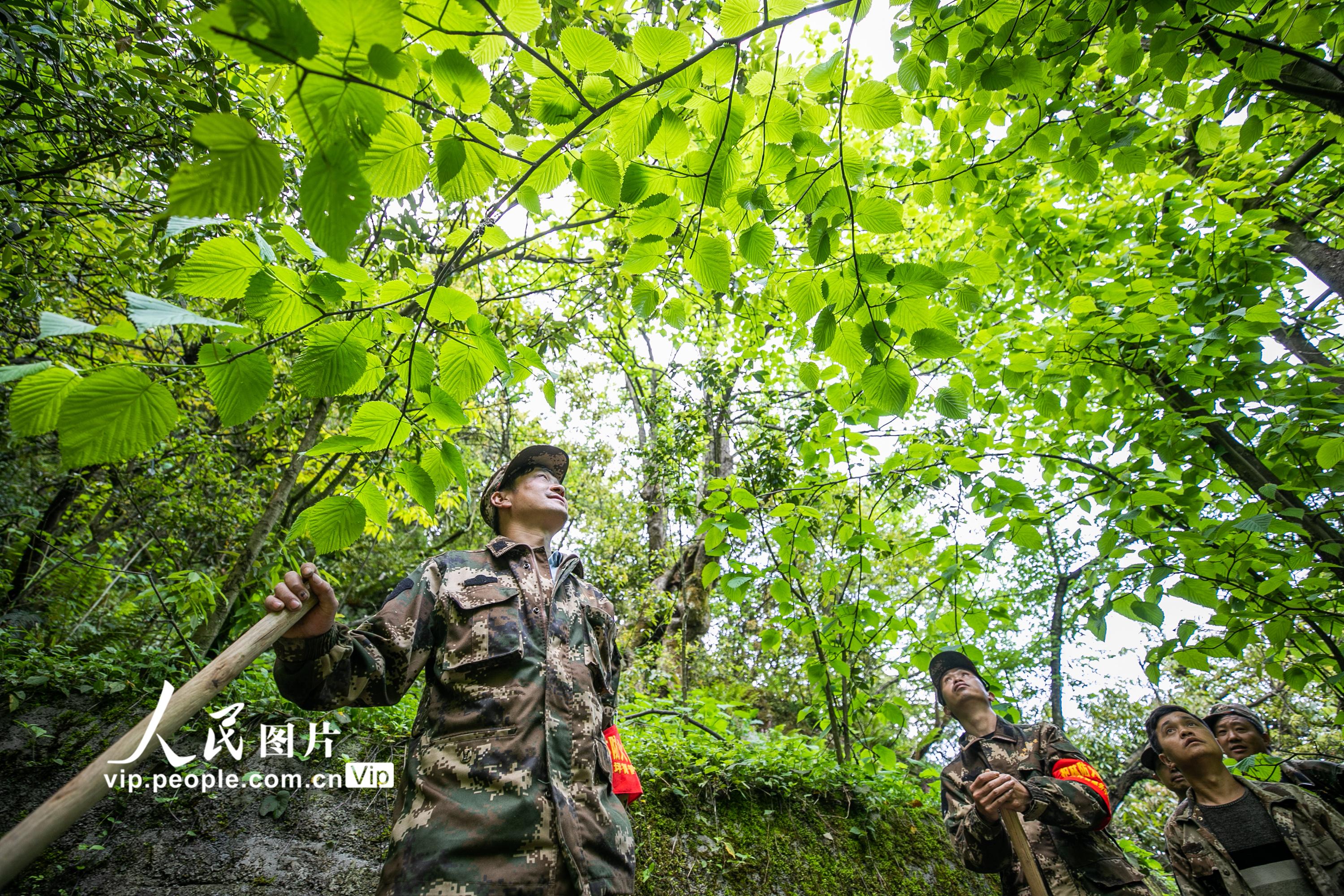 ��ʮ���d������ɽ�ġ��o��ʹ�ߡ���6��