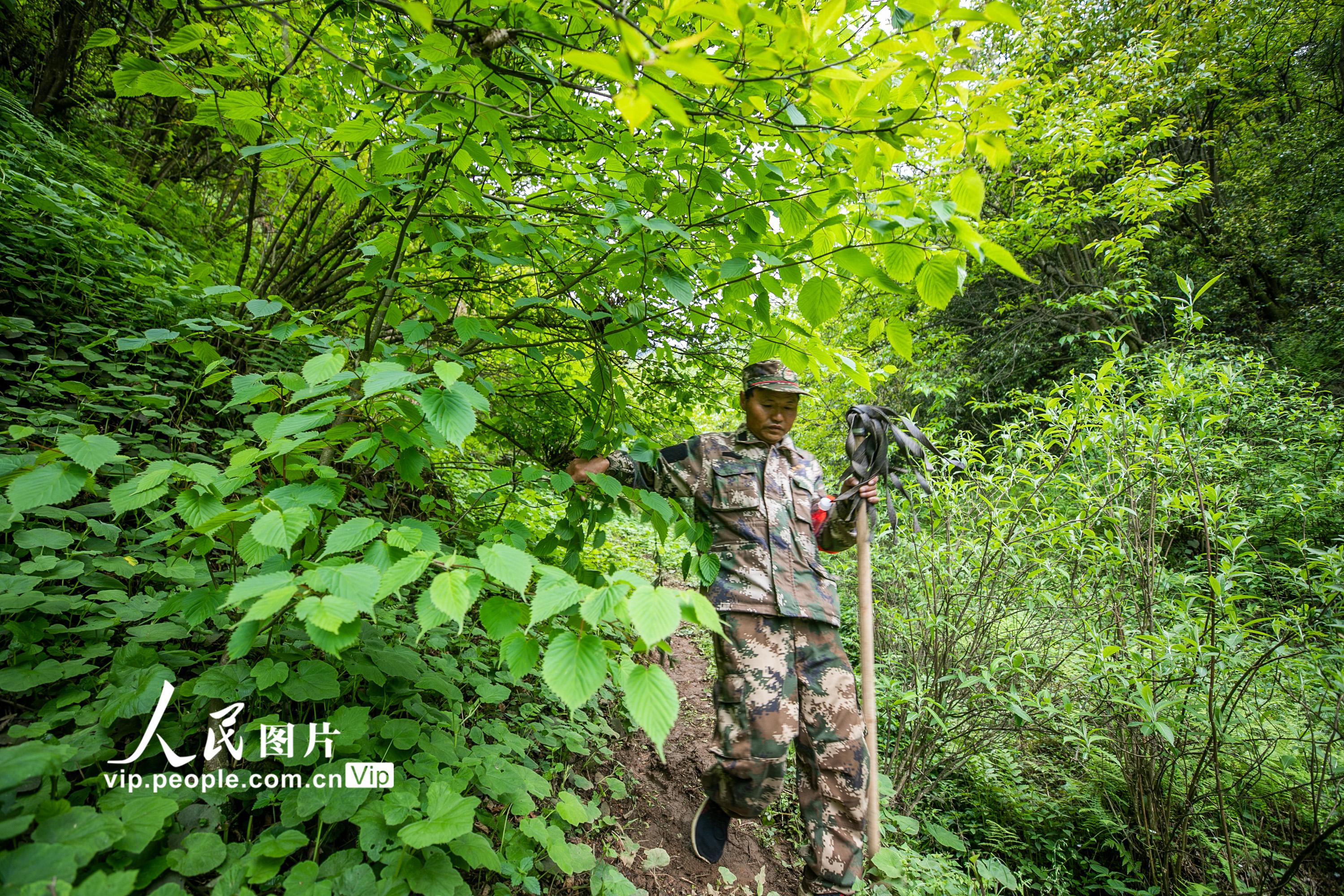 ��ʮ���d������ɽ�ġ��o��ʹ�ߡ���8��