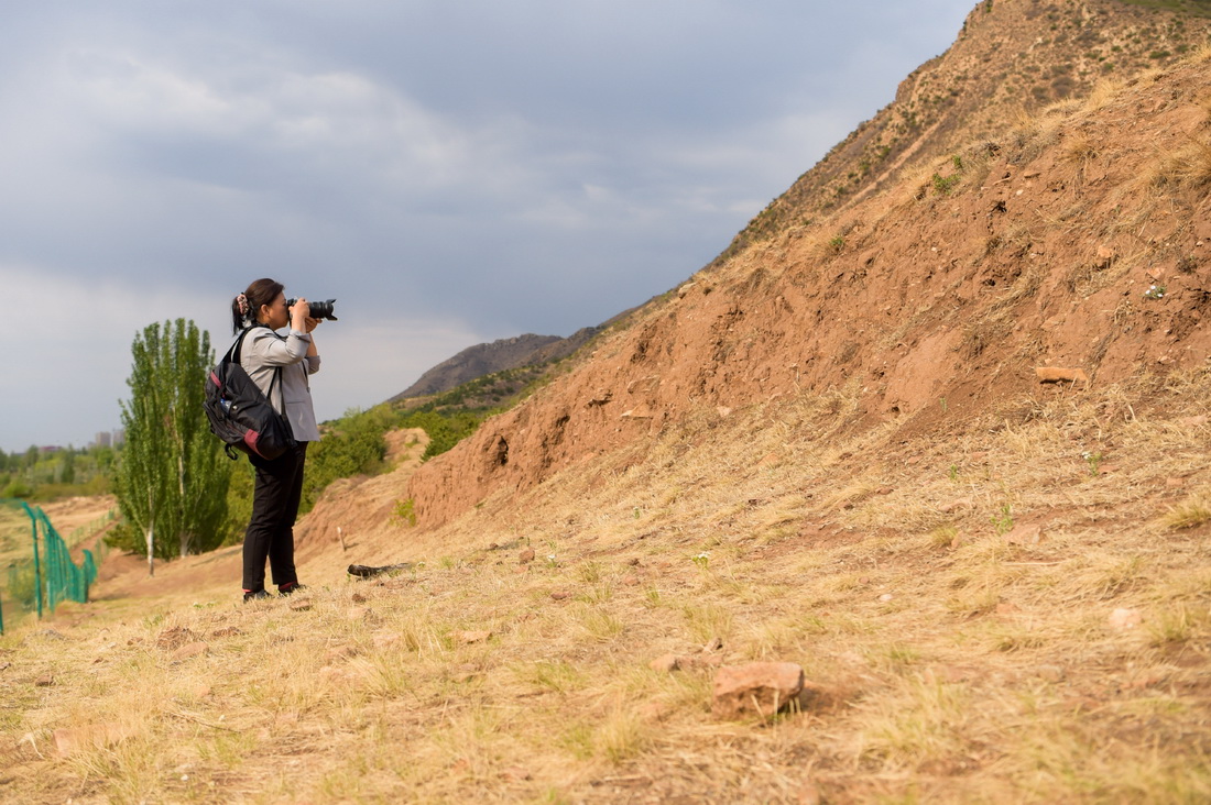 5月22日，在位于呼和浩特市的戰國趙北長城烏素圖段，高曉梅用相機記錄該段長城的情況。