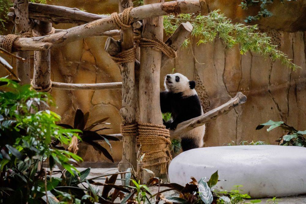 525؈xR¡¸ć҄@ˣ