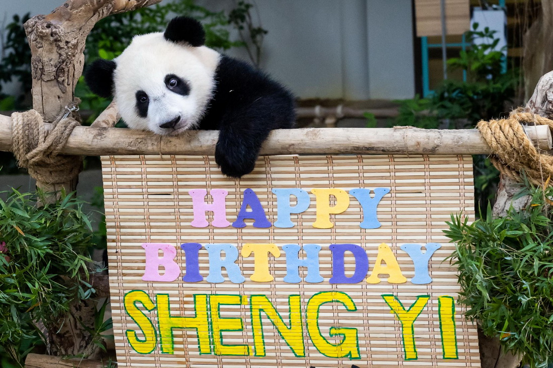 531؈xR¡¸ć҄@cףһq