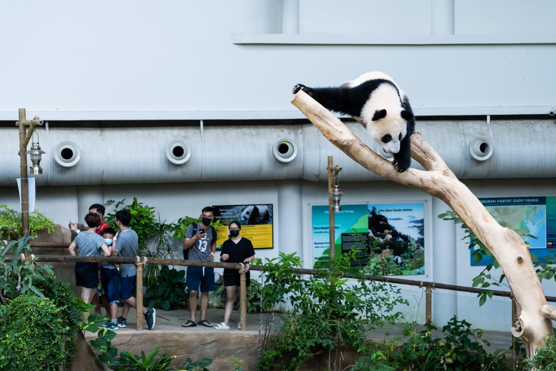 531؈xR¡¸ć҄@ˣ