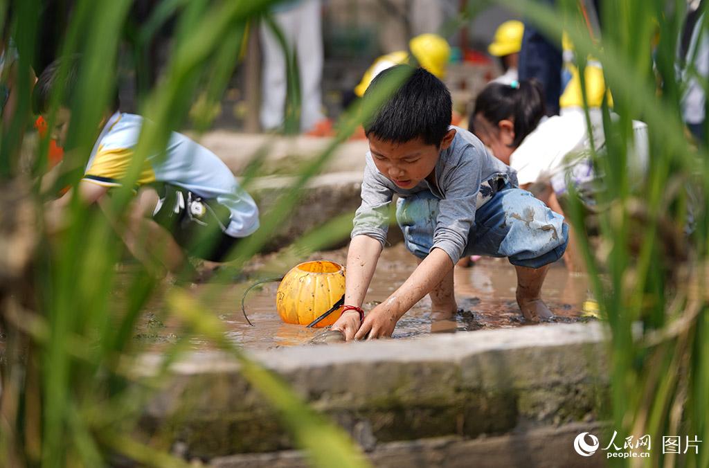 527㽭ʡϪԪ׃@ӂˮץq׃@eСҰ湝ӭһ׌ӂ㲻w@_չ΢W z