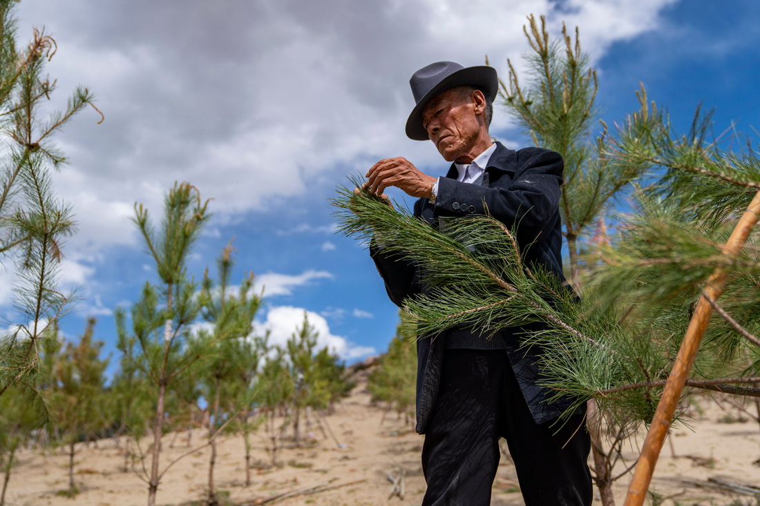 ɽҿh߅Ž߅ֵ鿴Lݣ526ՔzAӛ O z