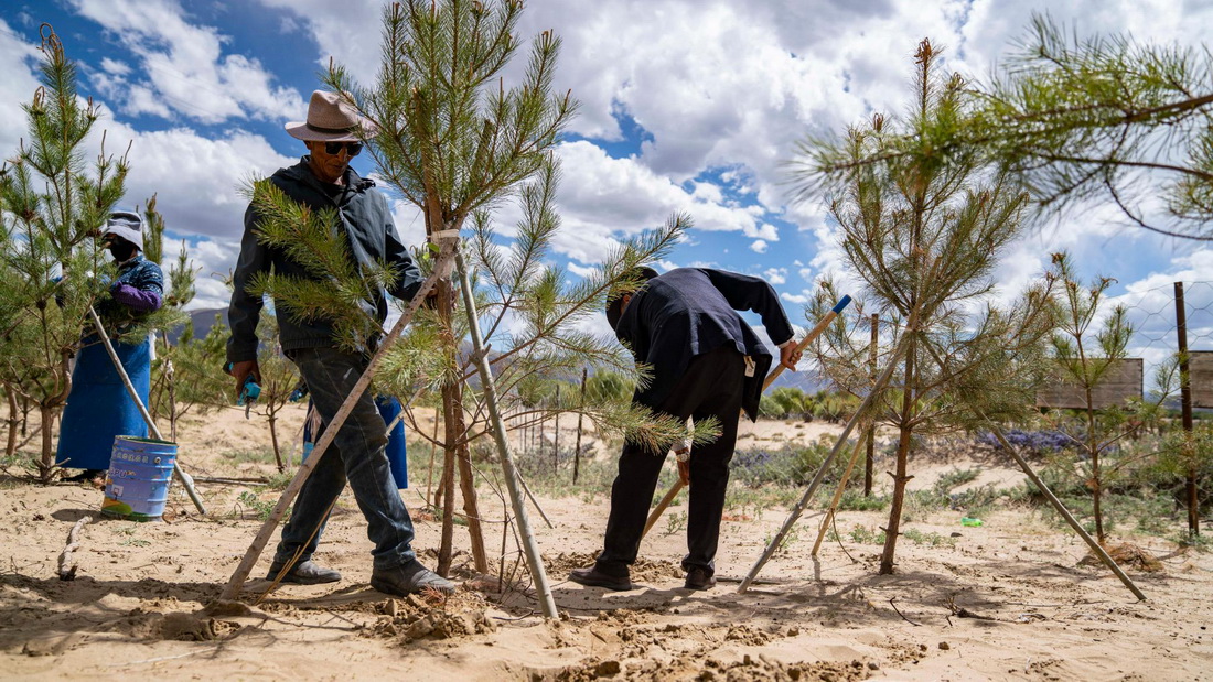 Ž߅ֵ߅ãңDʣУڷND߅һNϴn֮һ526ՔzAӛ O z