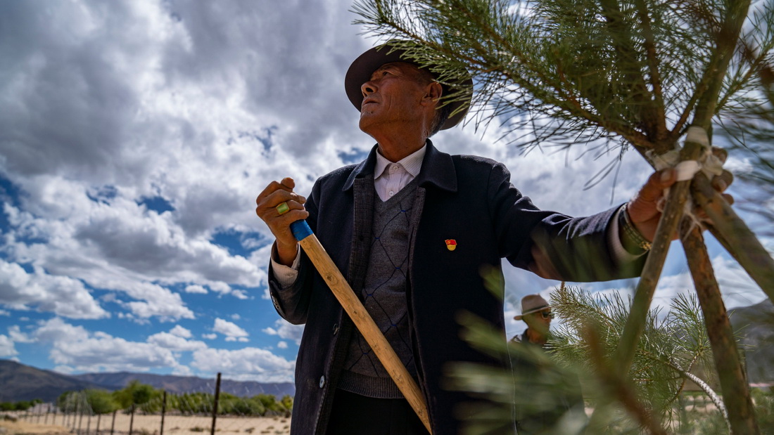 ɽҿh߅Ž߅ֵ鿴Lݣ526ՔzAӛ O z