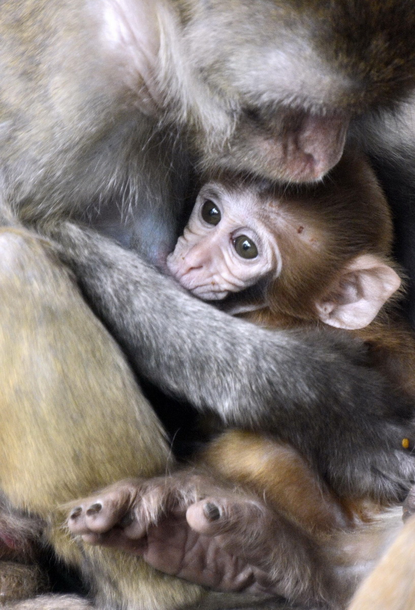 @һֻJګJ72Քz