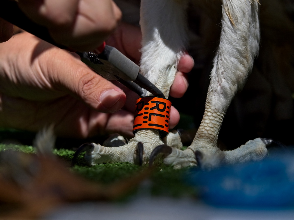 72ڷRߠ-xʡвҹ@ˆToһֻצbϽȦӛ