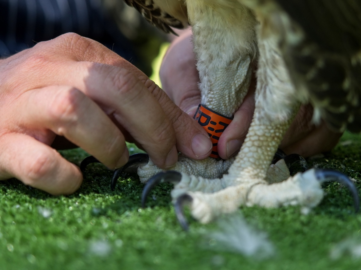 72ڷRߠ-xʡвҹ@ˆToһֻצbϽȦӛ