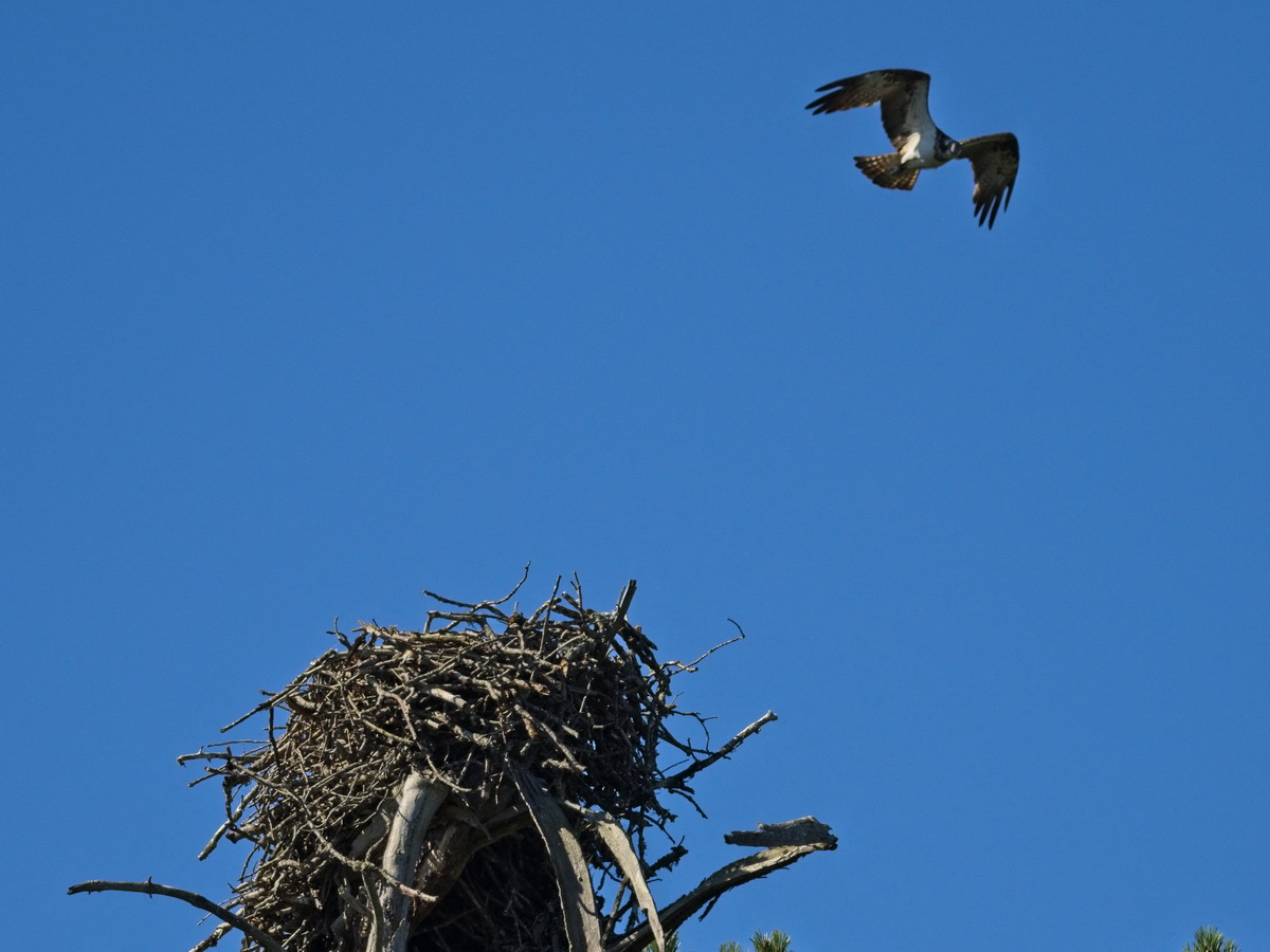 72һֻڷRߠ-xʡвҹ@w^