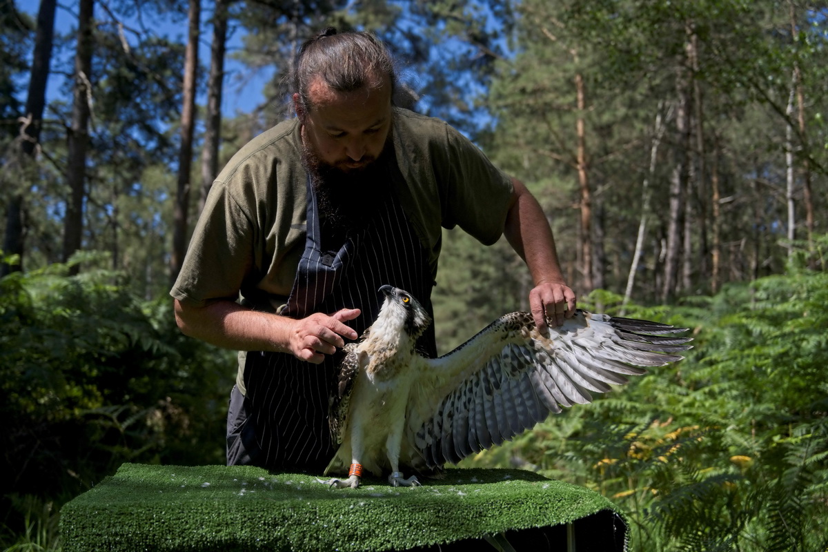 72ˆTڷRߠ-xʡвҹ@zһֻĳ