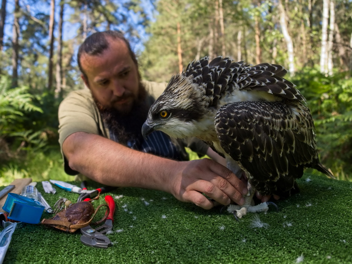 72ڷRߠ-xʡвҹ@ˆToһֻצbϽȦӛ