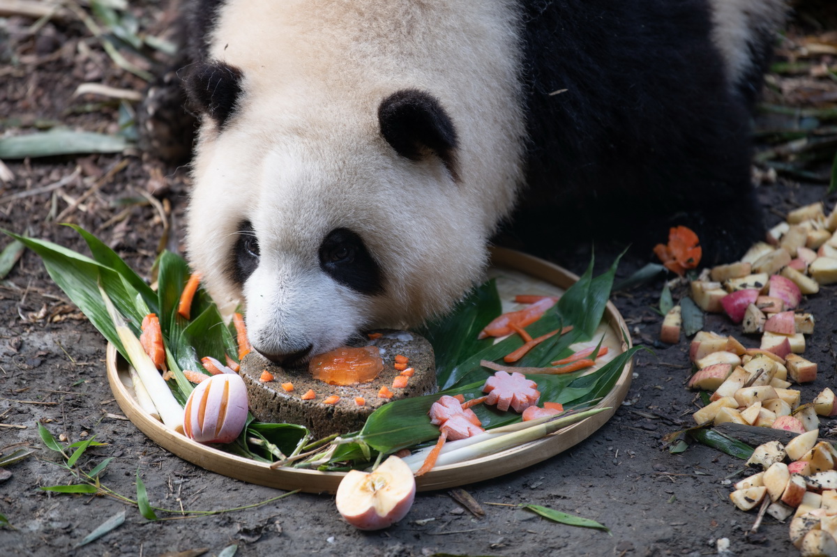 74ڳɶ؈о؈e؈ͻՕƵյAӛ  z