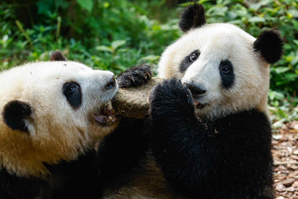 74ڳɶ؈о؈e؈ͻc~ƵյAӛ n z