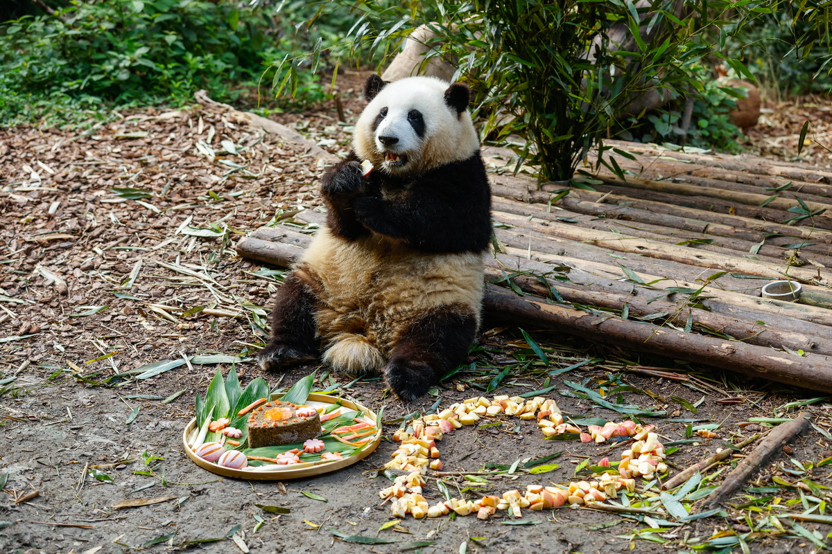 74ڳɶ؈о؈e؈ͻƵյ⼰OǰʂʳAӛ n z