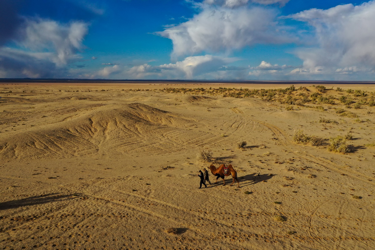 2020��10��15�����ᬔ�ă��ӹ��_���ͣ��ң���߅���ɳ�������Ѳ߅���o�˙C��Ƭ�������A��ӛ�� �B�� �z