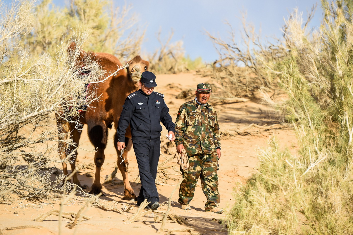 2020��10��15�����ᬔ�ă��ӹ��_���ͣ��ң���߅���ɳ�������Ѳ߅�����A��ӛ�� �B�� �z