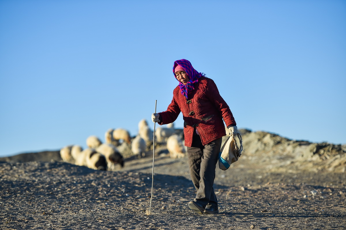 2021��1��7�����ᬔ�ڷ��������A��ӛ�� ���� �z