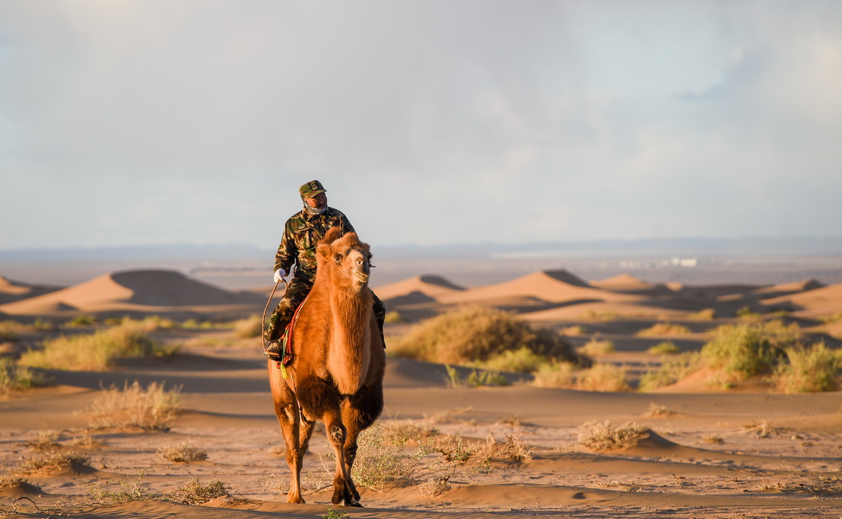 2020��10��15�����ᬔ�ă��ӹ��_������Ѳ߅�����A��ӛ�� �B�� �z