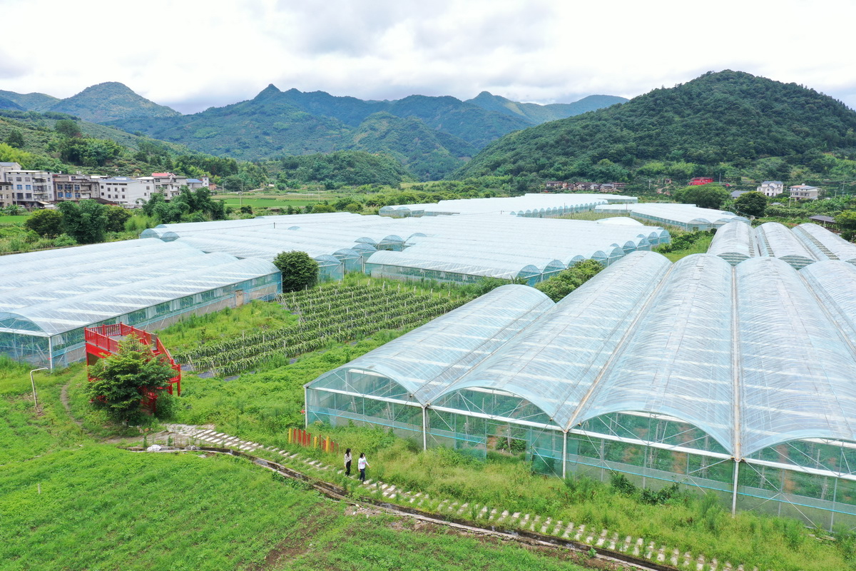 7��6��������أ��󣩺�����ĸ�HκСӢ�����ڸ����_���r�񄓘I�@һ���һ�����ˮ���Nֲ������o�˙C��Ƭ����