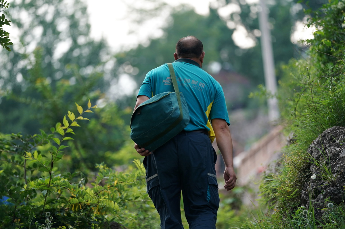 ��ɽ��ʡ���P�h��{������w�·������ͼ���С·�ϣ�7��14�Քz�������A��ӛ�� ղ�� �z