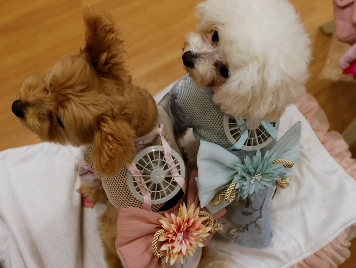 728ձ|ﴩȽ