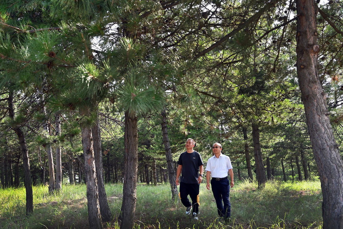 ��ľ���֘I��ɭ��Ѳ���ˆT��ˮĥ���ֈ������ֵ�Ѳ��ߜط�����r��8��1�Քz�������A��ӛ�� ���� �z