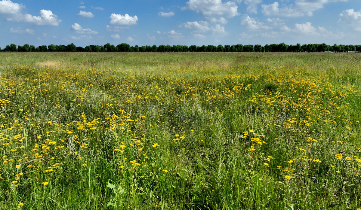 �_�M�r������ľ�Р����ô��ԭ��8��5�Քz����������悌���ʏ��ɳ���M�б��o���_�l�������f�����ԭ�������������������e֮�������A��ӛ�� �m�t�� �z