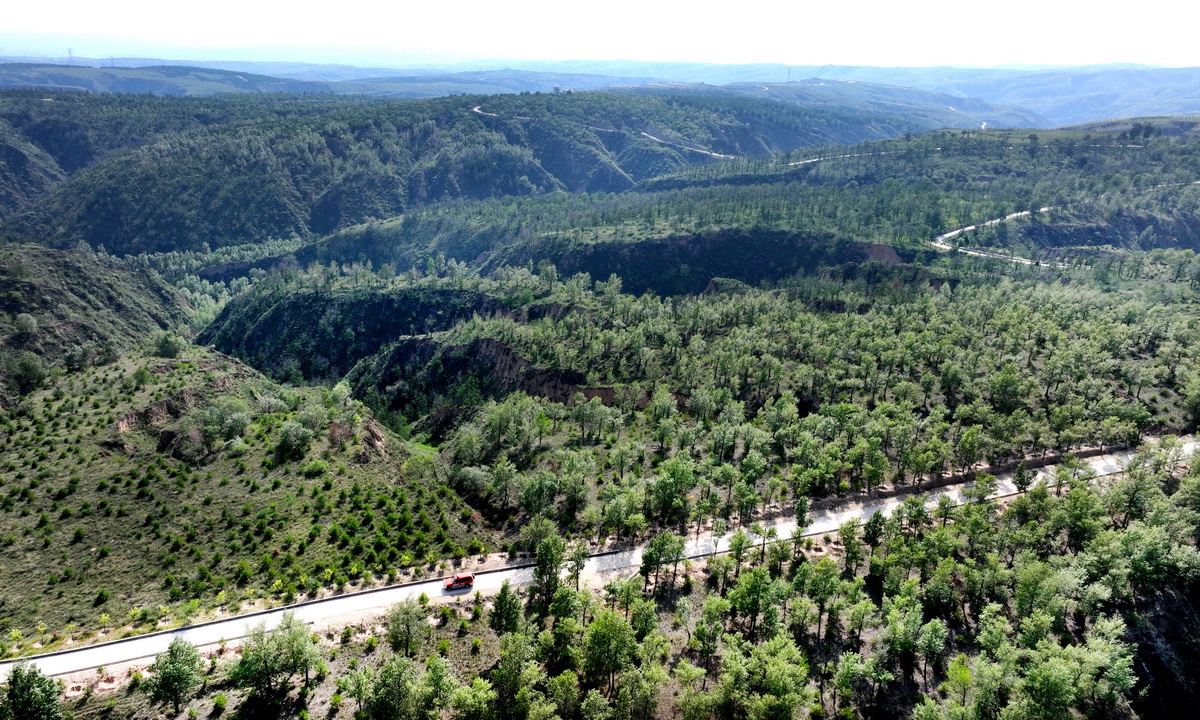 ��������ľ�ЙڗU������Ҵ��f�օ^�{܇���[��8��1�Քz���o�˙C��Ƭ�����@����ڵ��͵��S��������ֵ�ò�����������օ^ɭ�ָ��w���_80%�������ѳɞ鮔��Ⱥ�����e�ȼ����^�������������w���ɭ�ֿ��B�ĳ��к󻨈@�����A��ӛ�� ���� �z