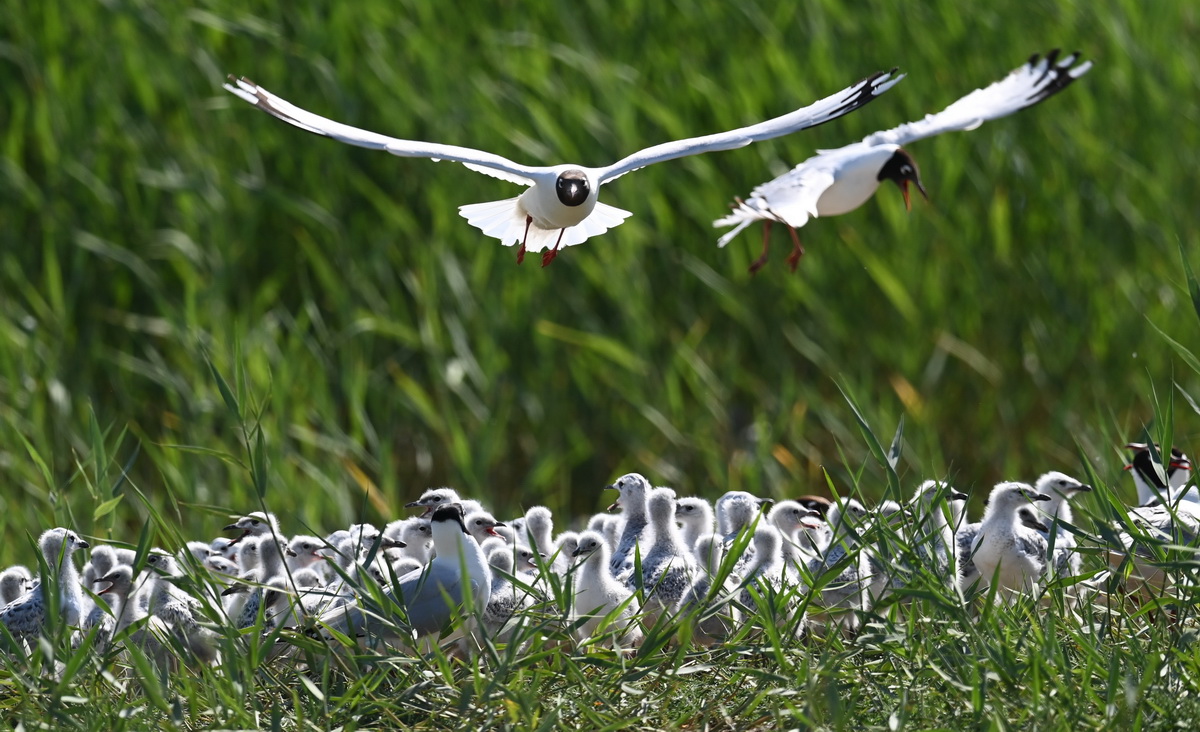 tAׇҼȻo^Buwzt2022622ՔzľÿꌦtA׺čuzthMޏ24СrϢOصȶ헱oʩ˷ֳztNȺAӛ  z