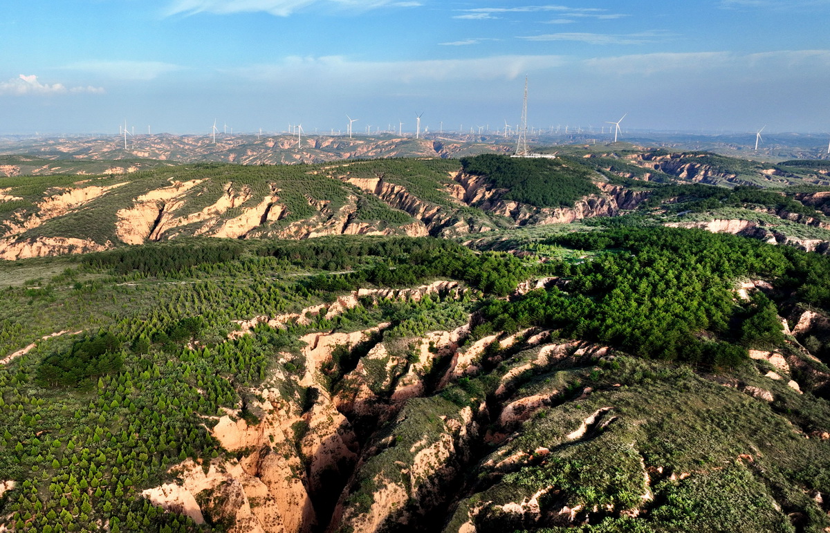 �����ľ���R�����P��կ10�f�����B�ֻ��أ�8��3�Քz���o�˙C��Ƭ����ԓ�����ϱ��L54�������|����1��3��������ֲ��N��Ҫ��Ȱ���������������������ľ�|�������Ч����õ����B�ֻ�������ľ�����ʸ��_95%���������A��ӛ�� ���� �z