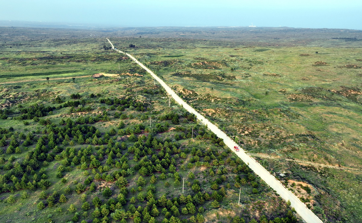  һ�v��܇�������ľ����ɳ�ֵ��S�ҏR�徳�ȵ�ë����ɳ�ص�·�ϣ�8��2�Քz���o�˙C��Ƭ������ľ�о��ȵ�ɳ���ѱ��Gɫ���w���S̎��Ҋ���G���S�ݡ����^�����A��ӛ�� ���� �z