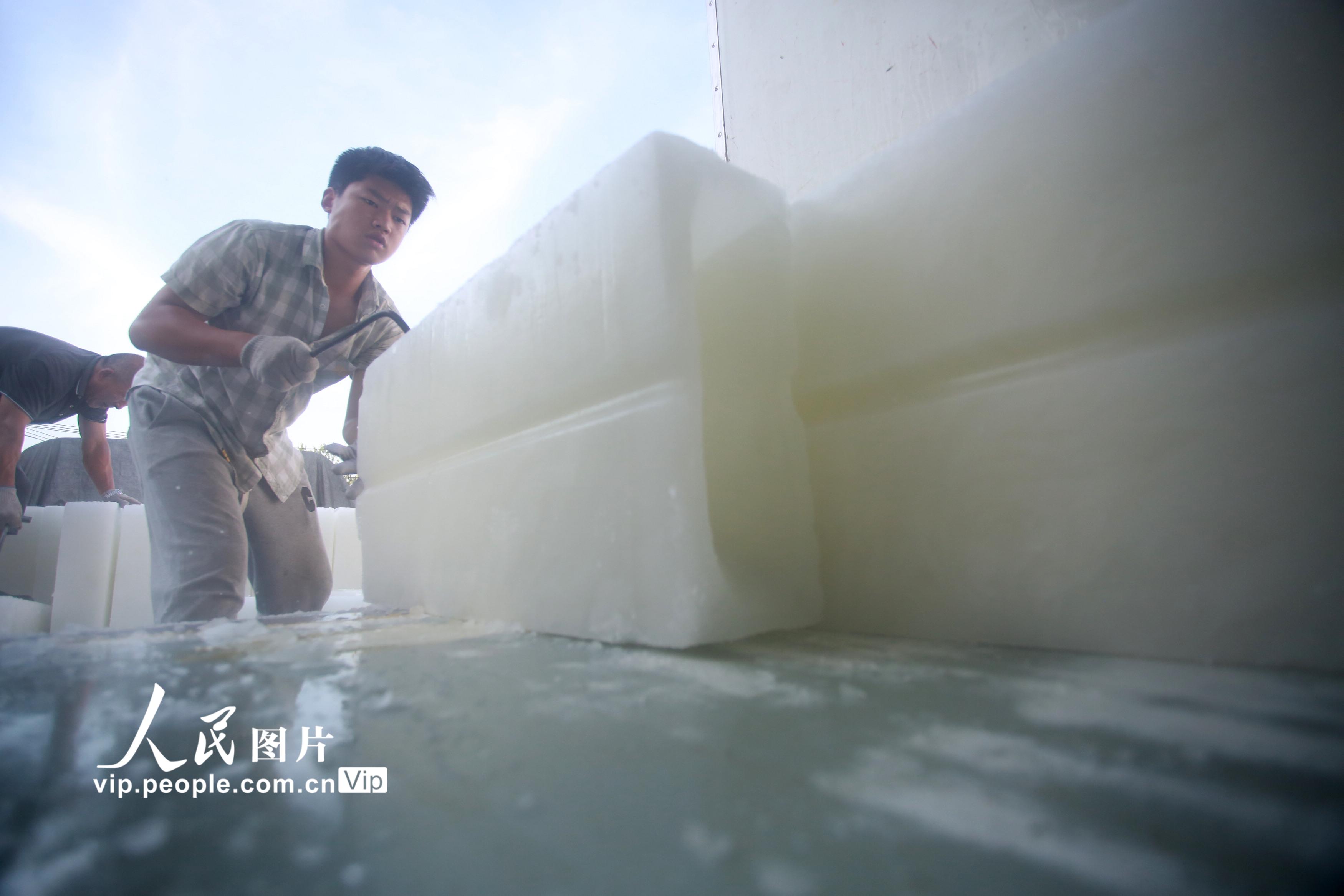 �������S���Ʊ��������5��