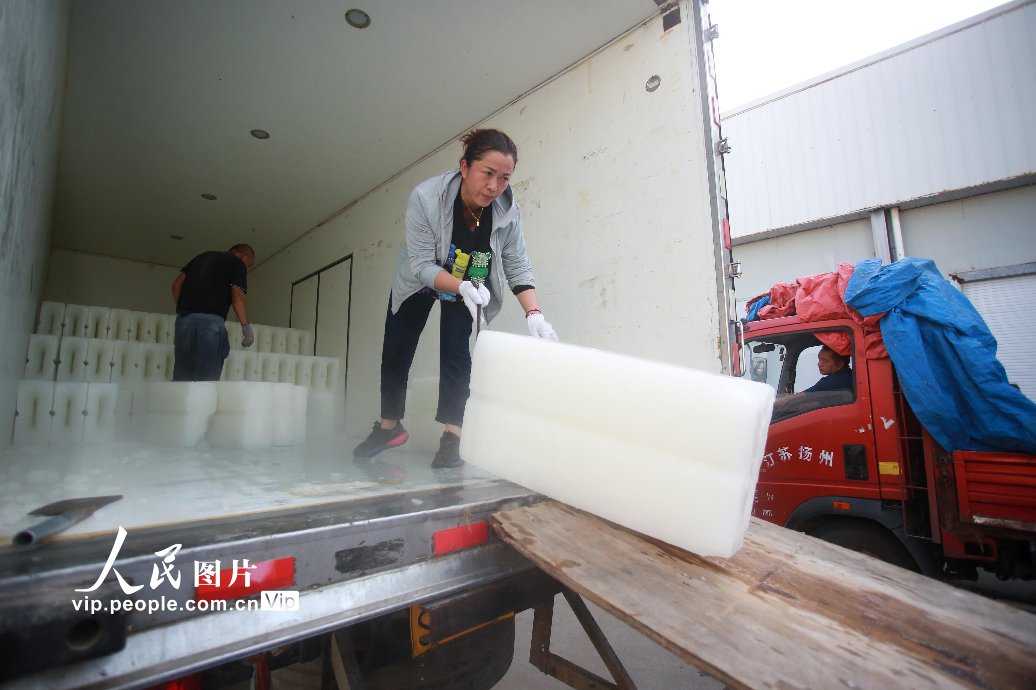 �������S���Ʊ��������6��